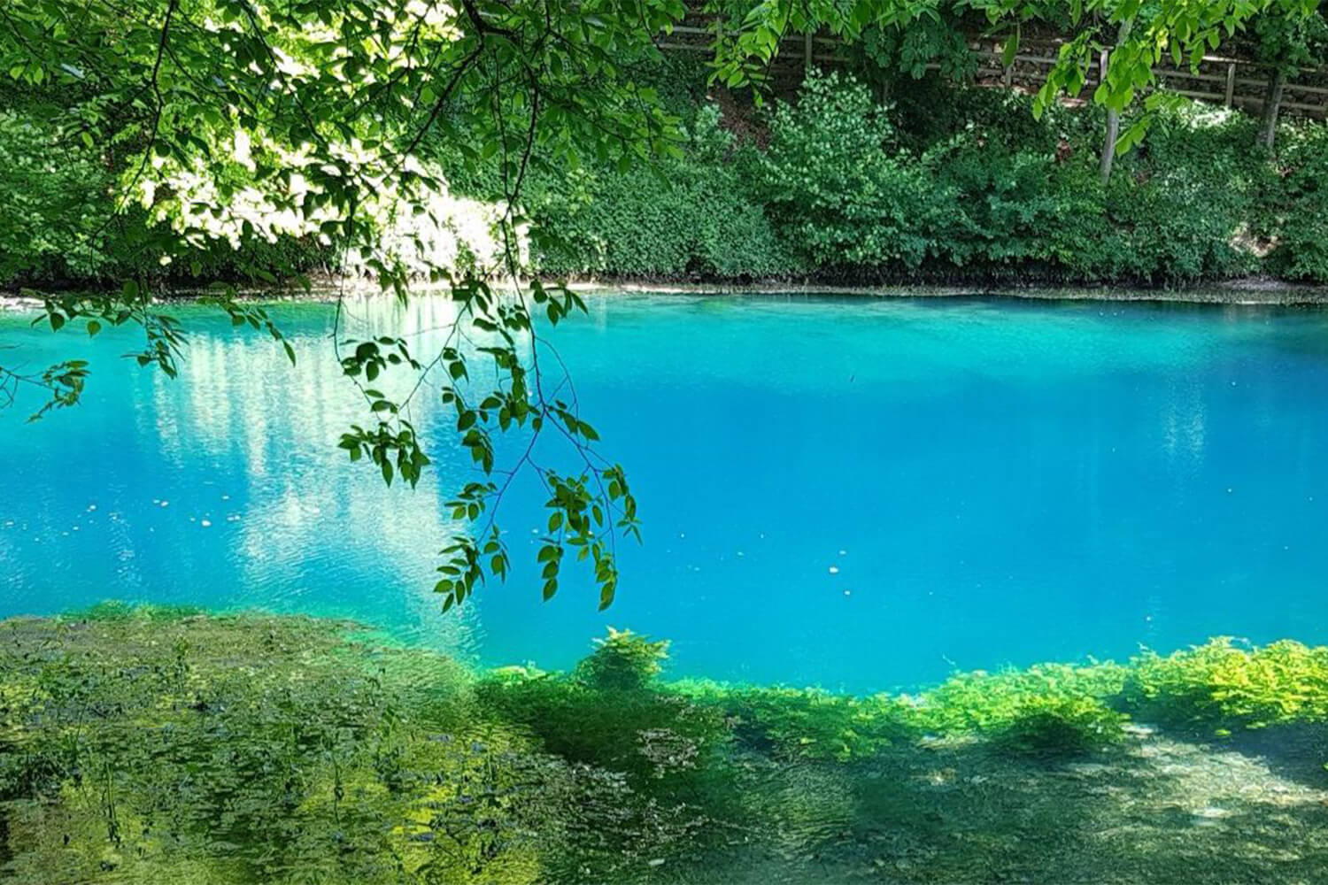 Sehenswürdigkeiten-Neu-Ulm-Blautopf